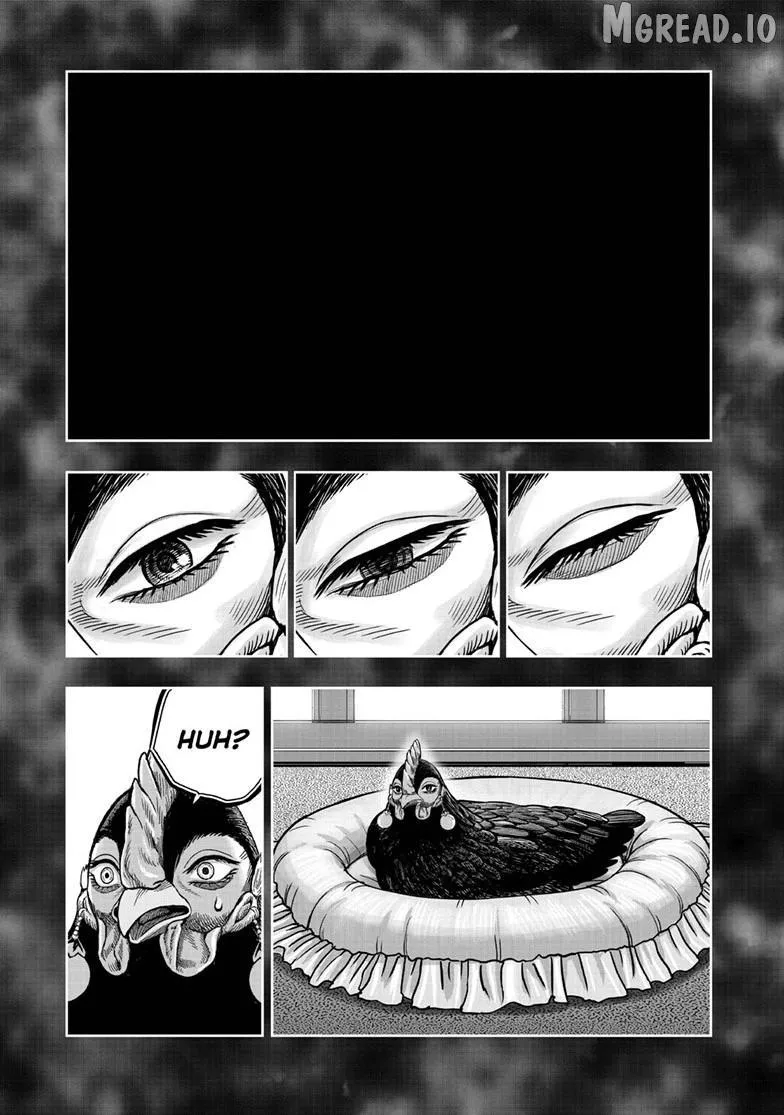 Read Rooster Fighter EN Manga Online