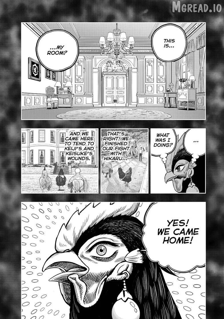 Read Rooster Fighter EN Manga Online