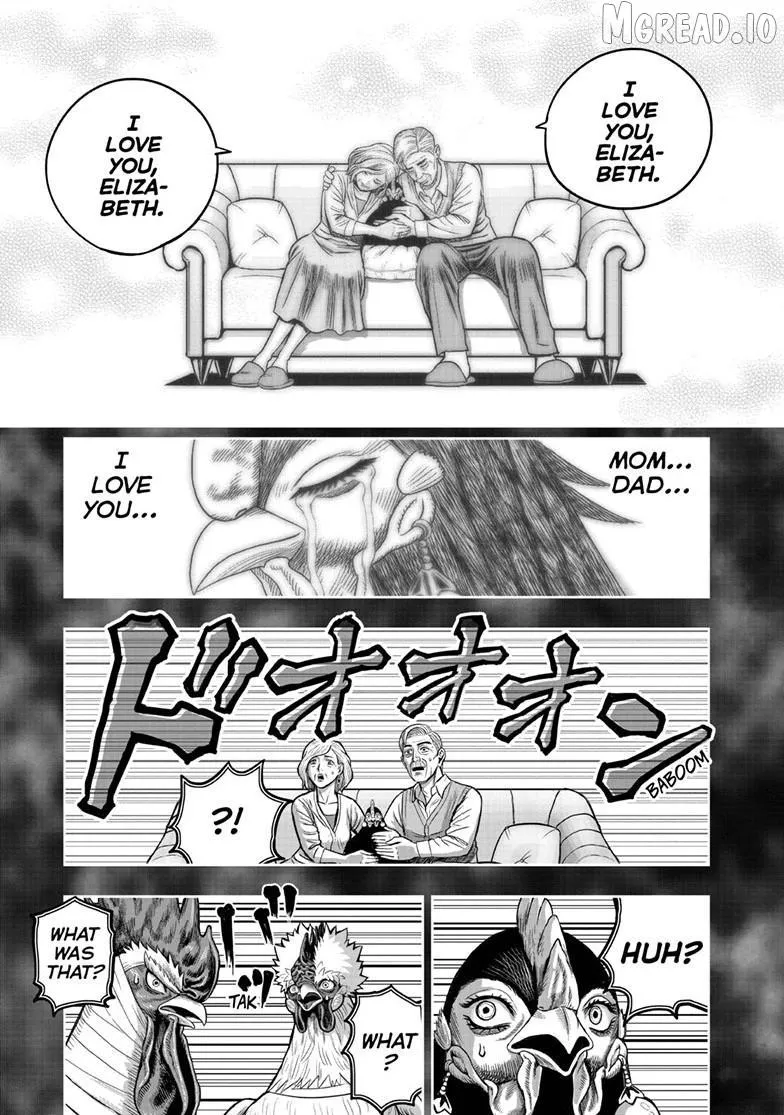 Read Rooster Fighter EN Manga Online