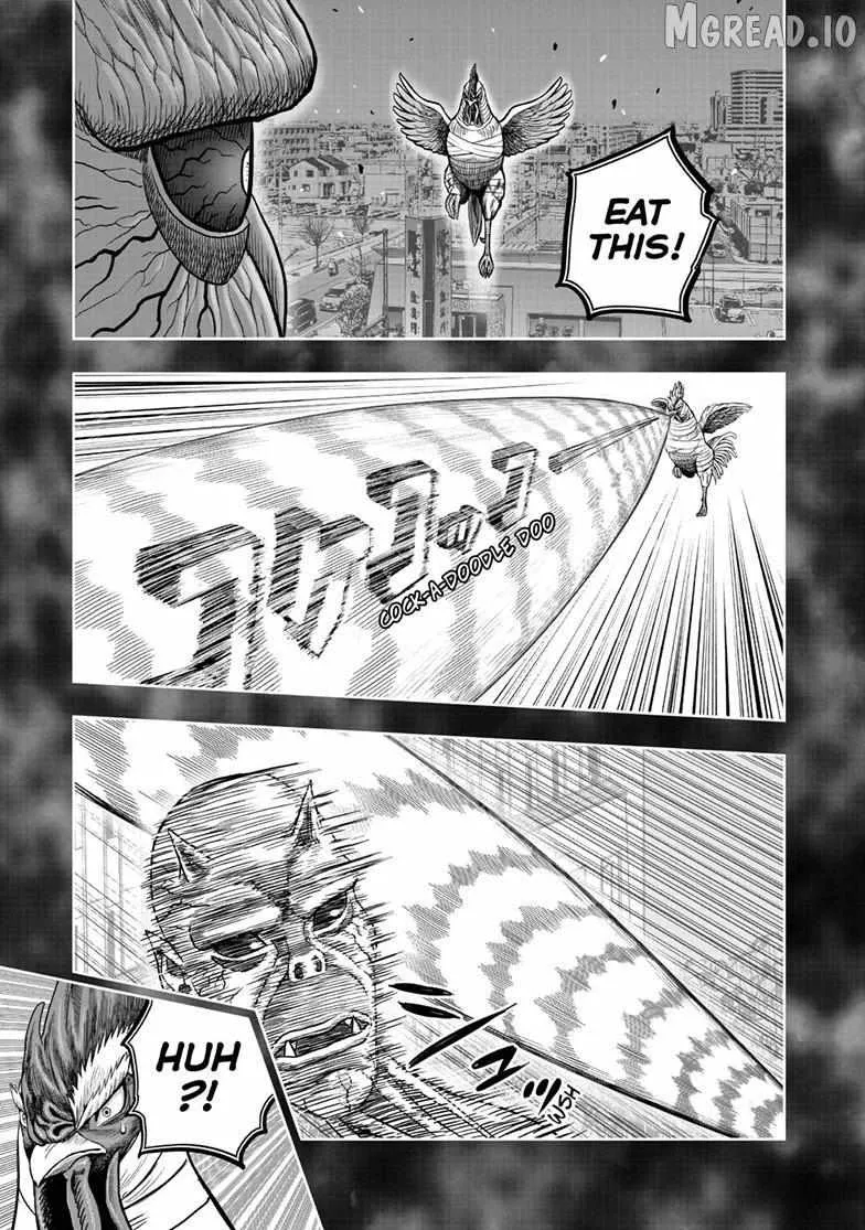Read Rooster Fighter EN Manga Online