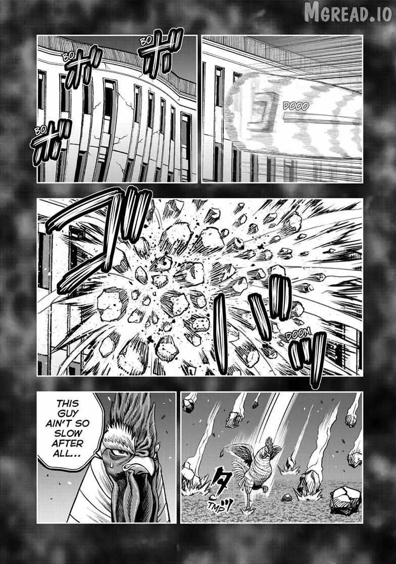 Read Rooster Fighter EN Manga Online
