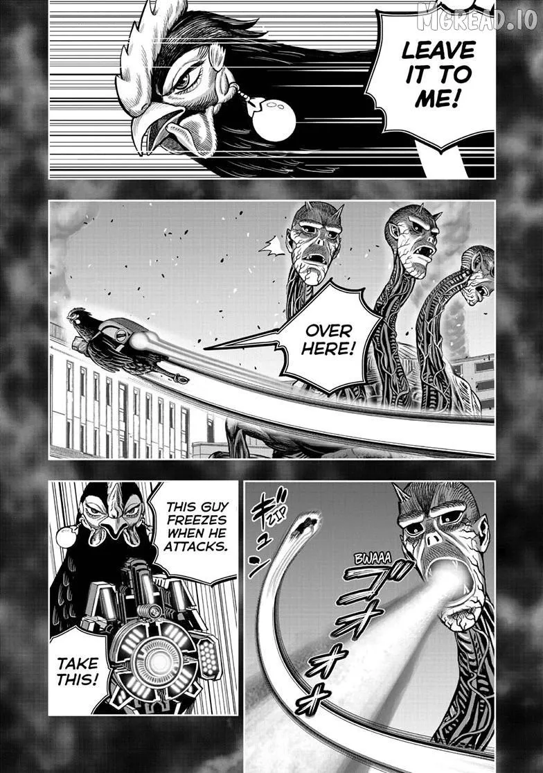 Read Rooster Fighter EN Manga Online