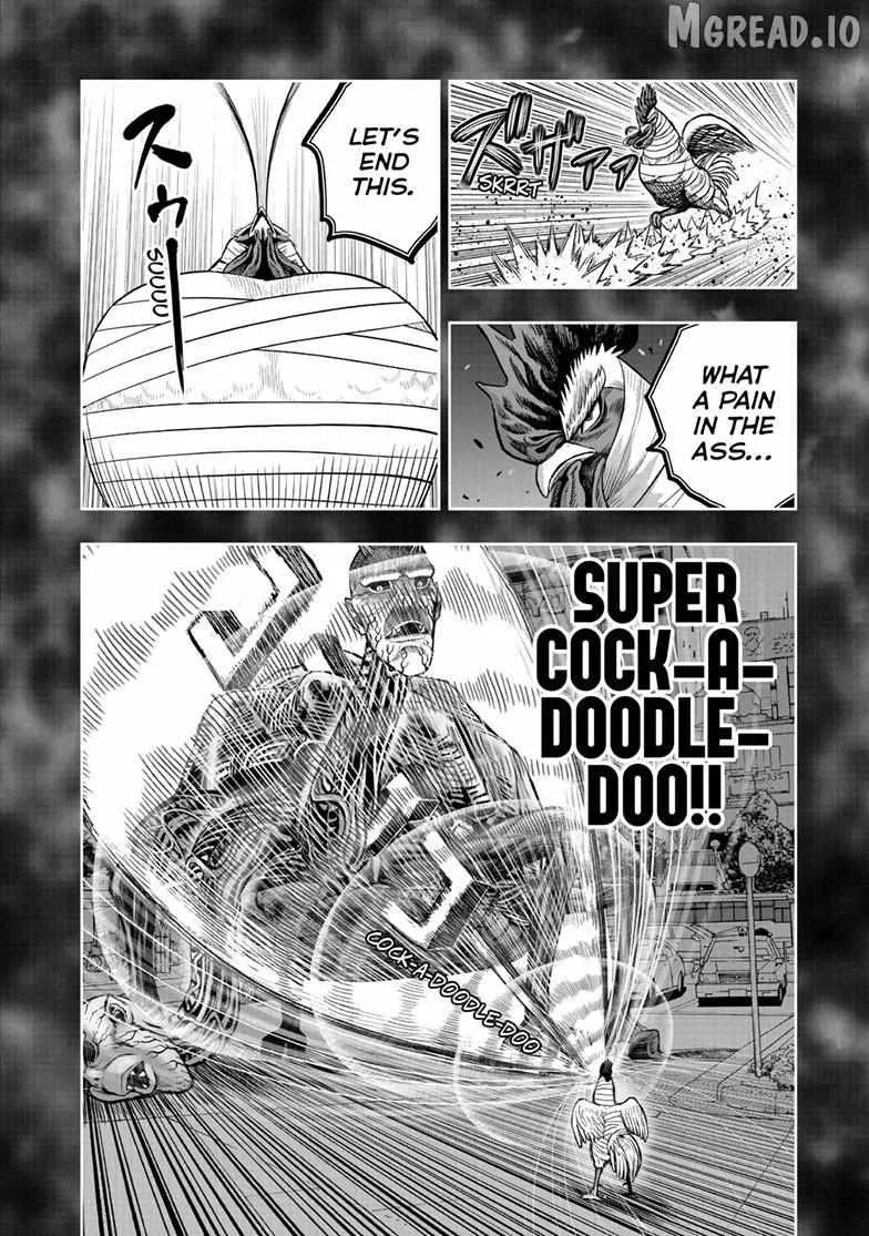 Read Rooster Fighter EN Manga Online