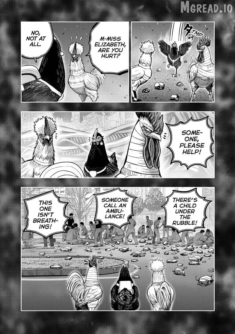 Read Rooster Fighter EN Manga Online
