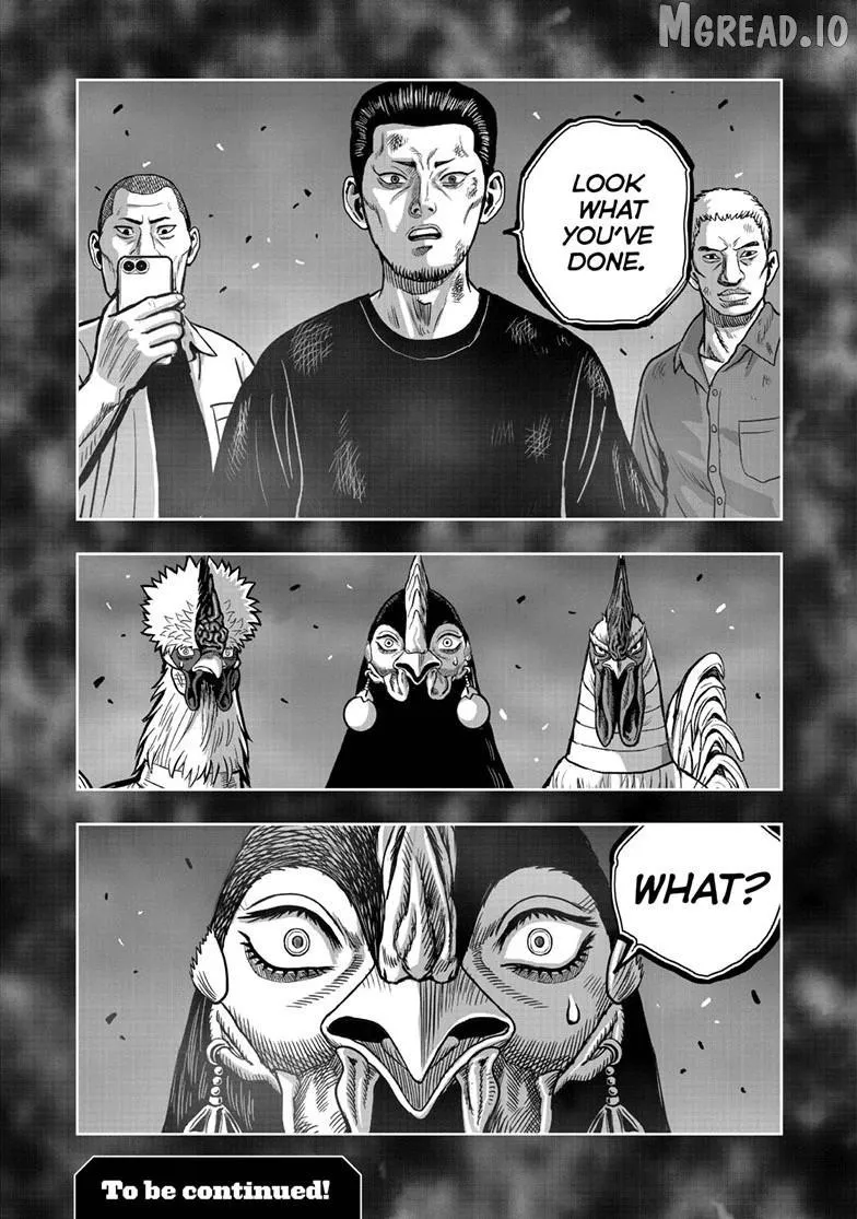 Read Rooster Fighter EN Manga Online