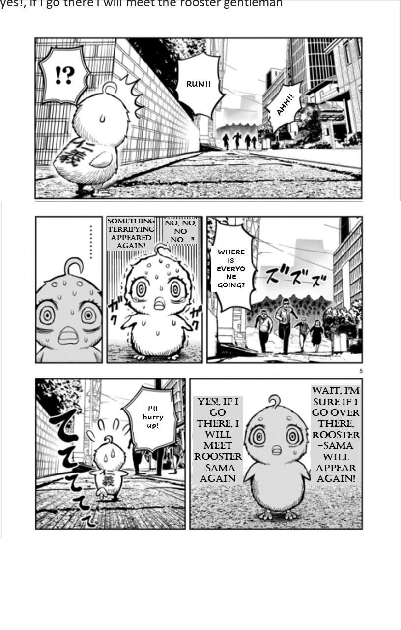 Read Rooster Fighter EN Manga Online