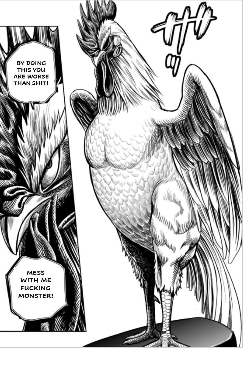 Read Rooster Fighter EN Manga Online
