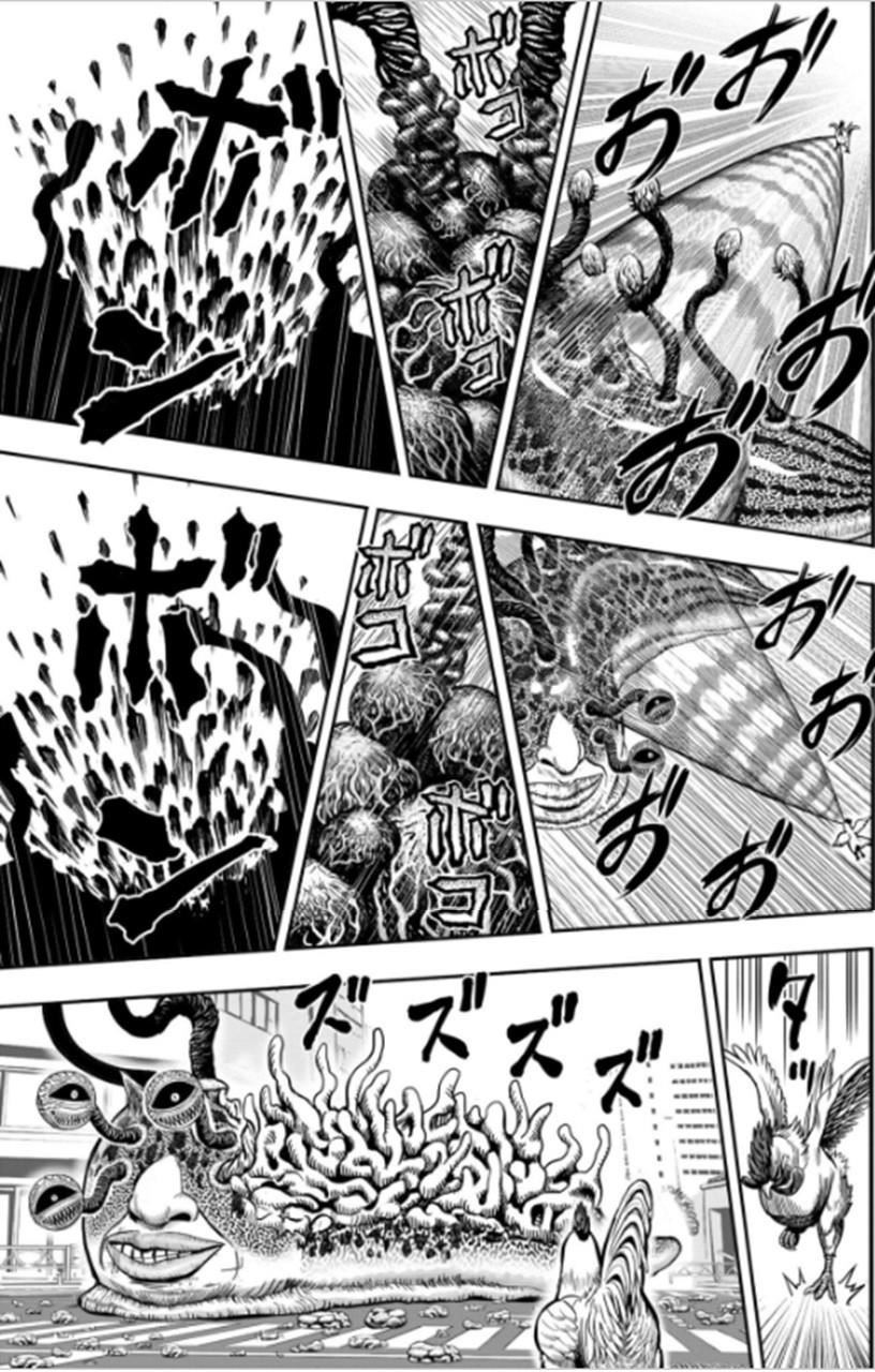 Read Rooster Fighter EN Manga Online