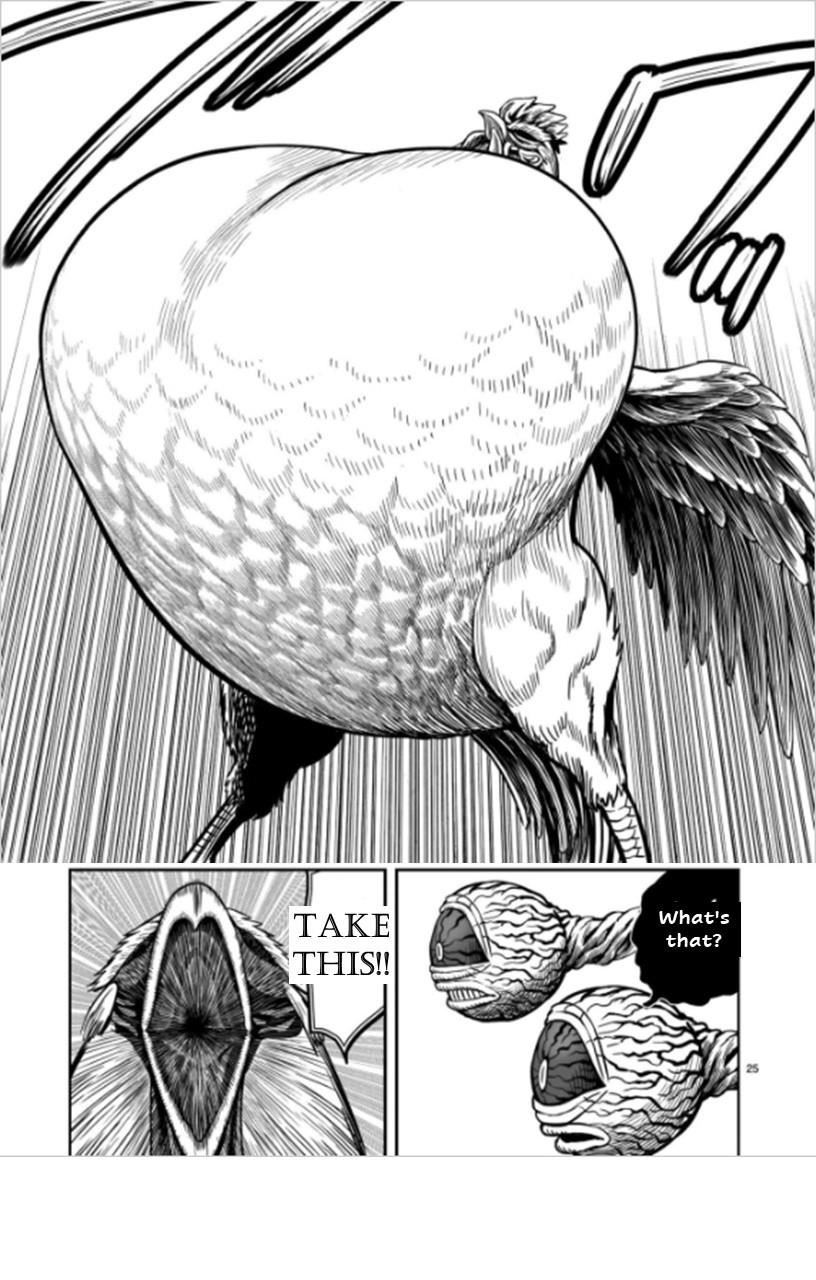 Read Rooster Fighter EN Manga Online