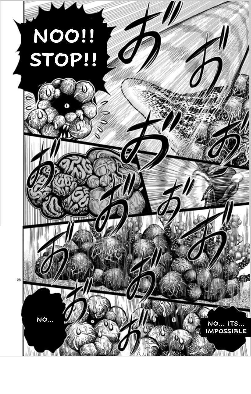Read Rooster Fighter EN Manga Online