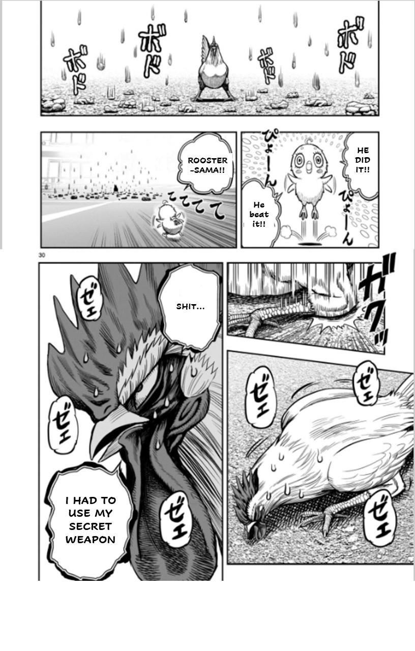 Read Rooster Fighter EN Manga Online
