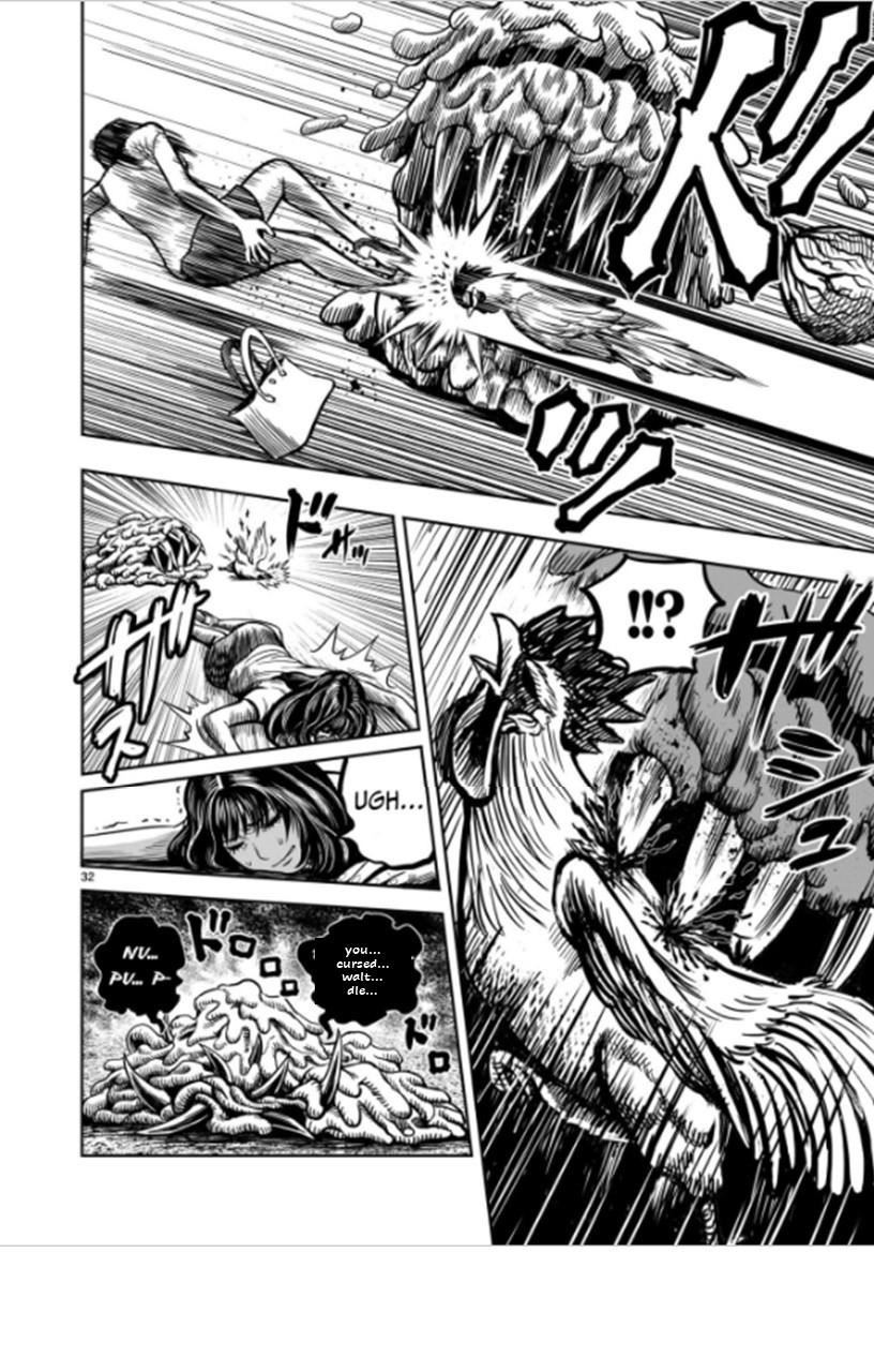 Read Rooster Fighter EN Manga Online