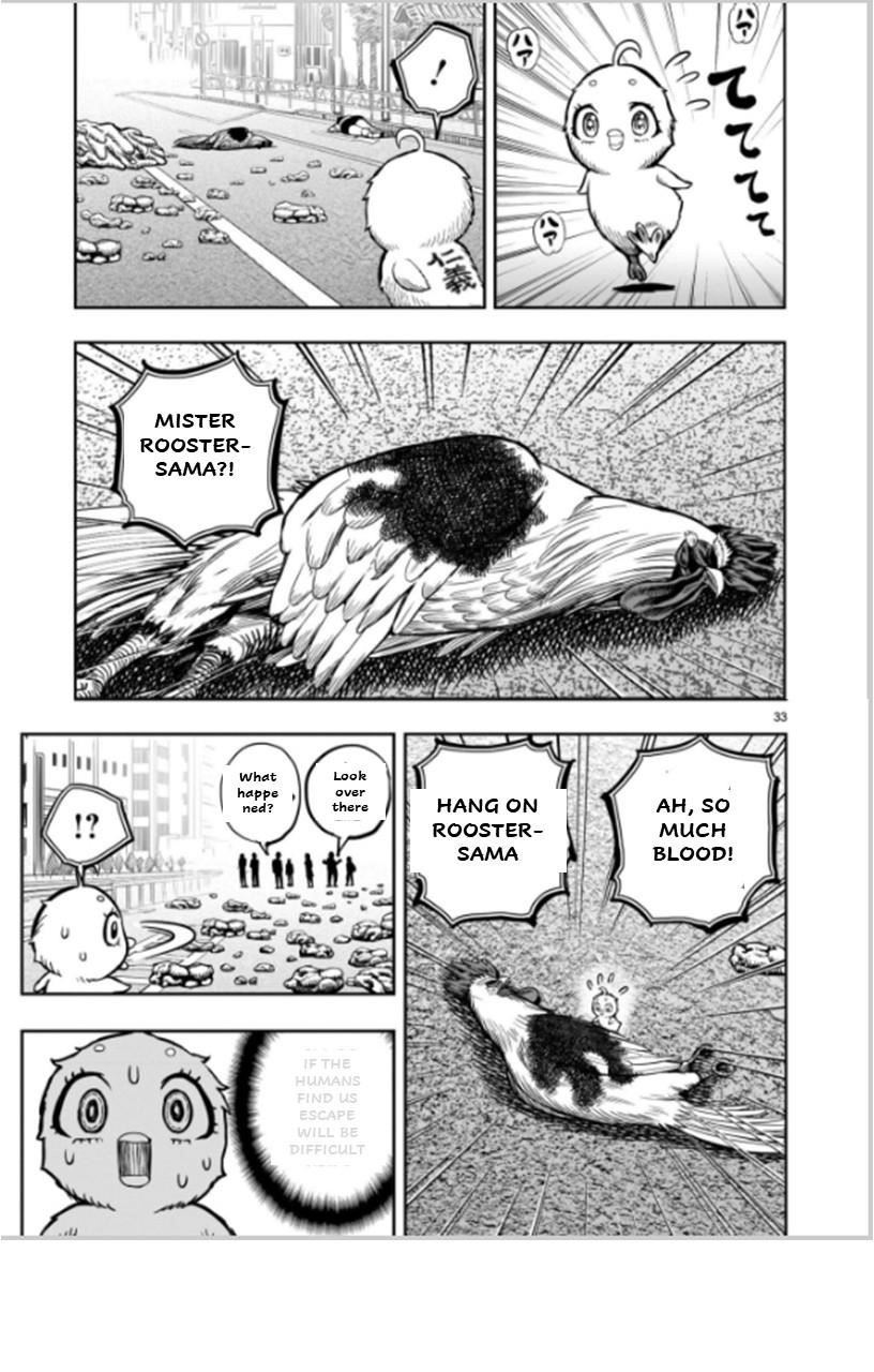 Read Rooster Fighter EN Manga Online