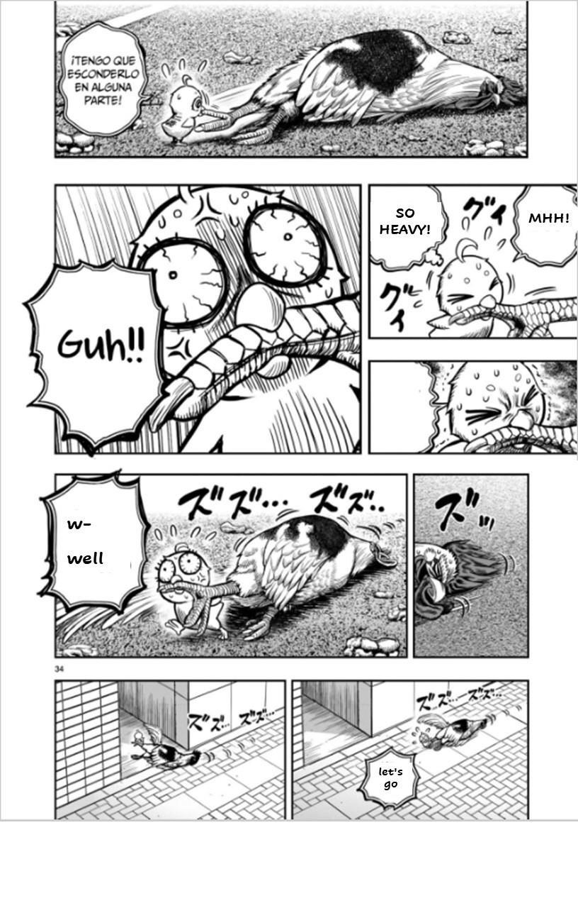 Read Rooster Fighter EN Manga Online