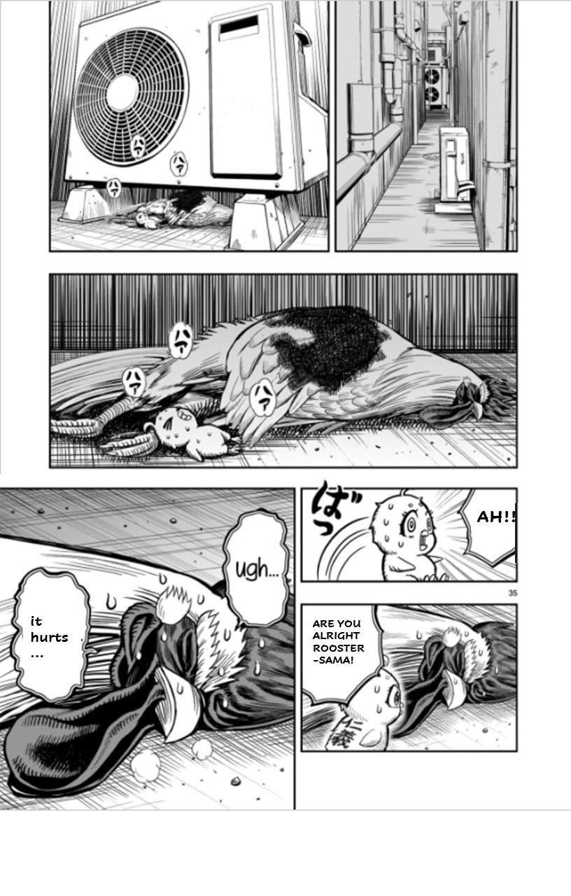 Read Rooster Fighter EN Manga Online