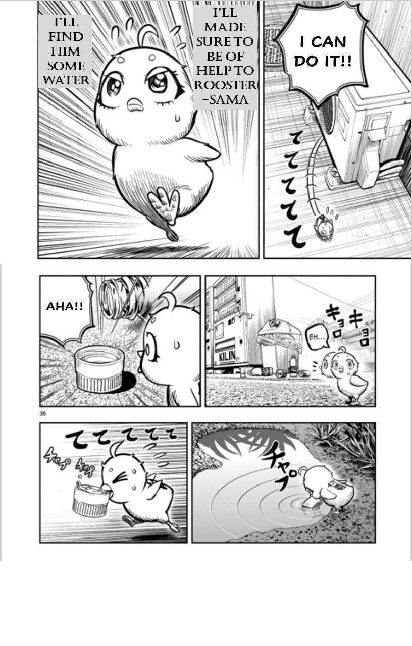 Read Rooster Fighter EN Manga Online