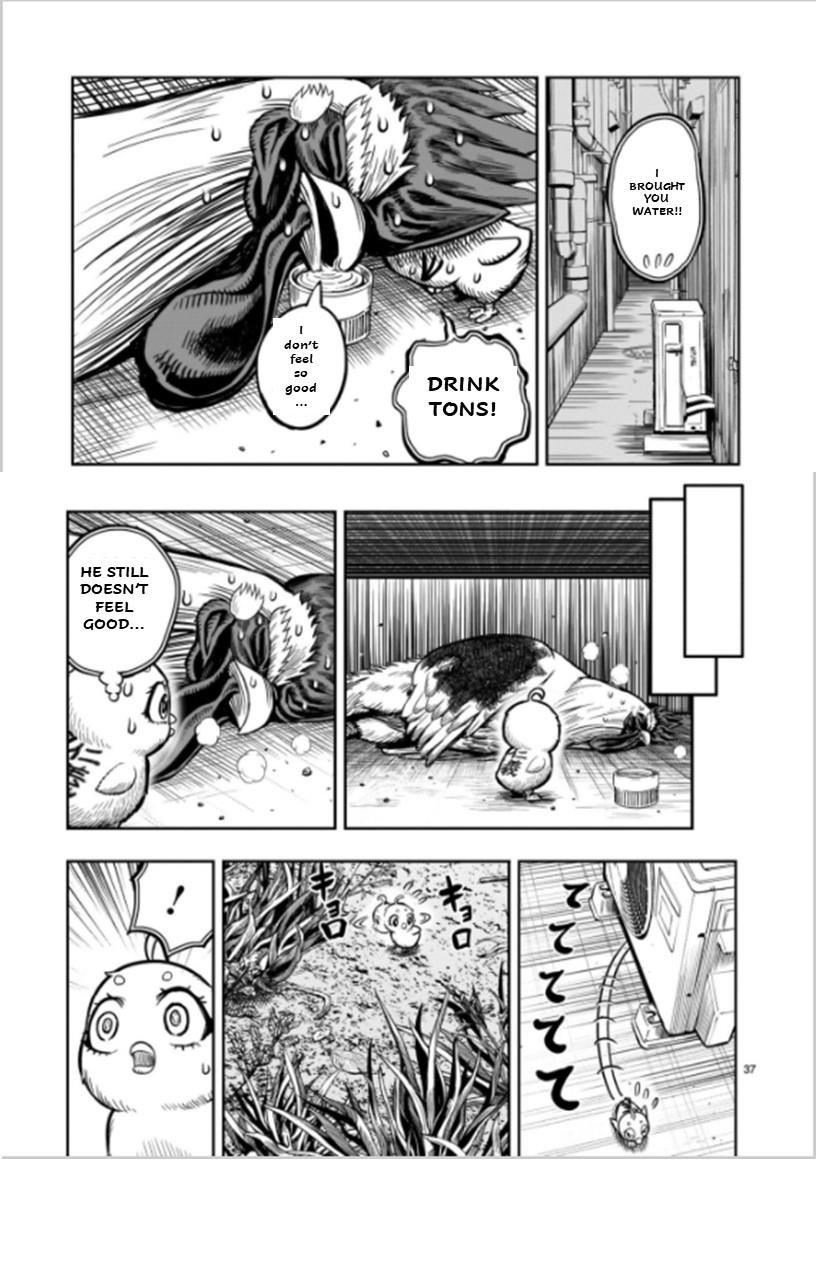 Read Rooster Fighter EN Manga Online
