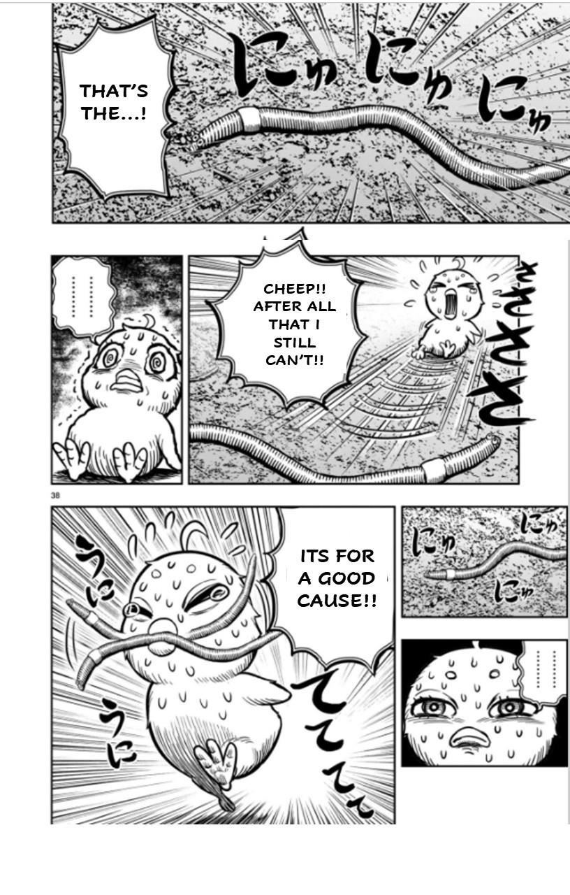 Read Rooster Fighter EN Manga Online