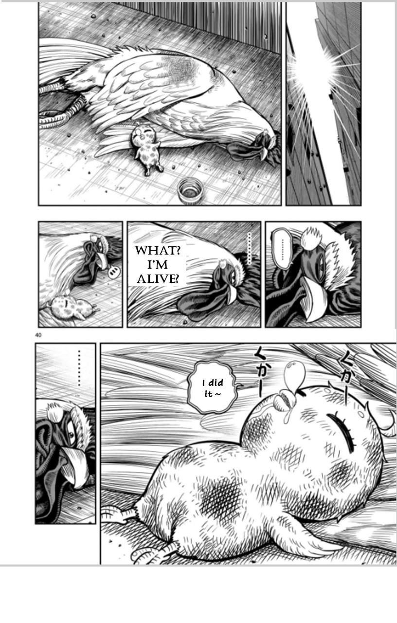 Read Rooster Fighter EN Manga Online