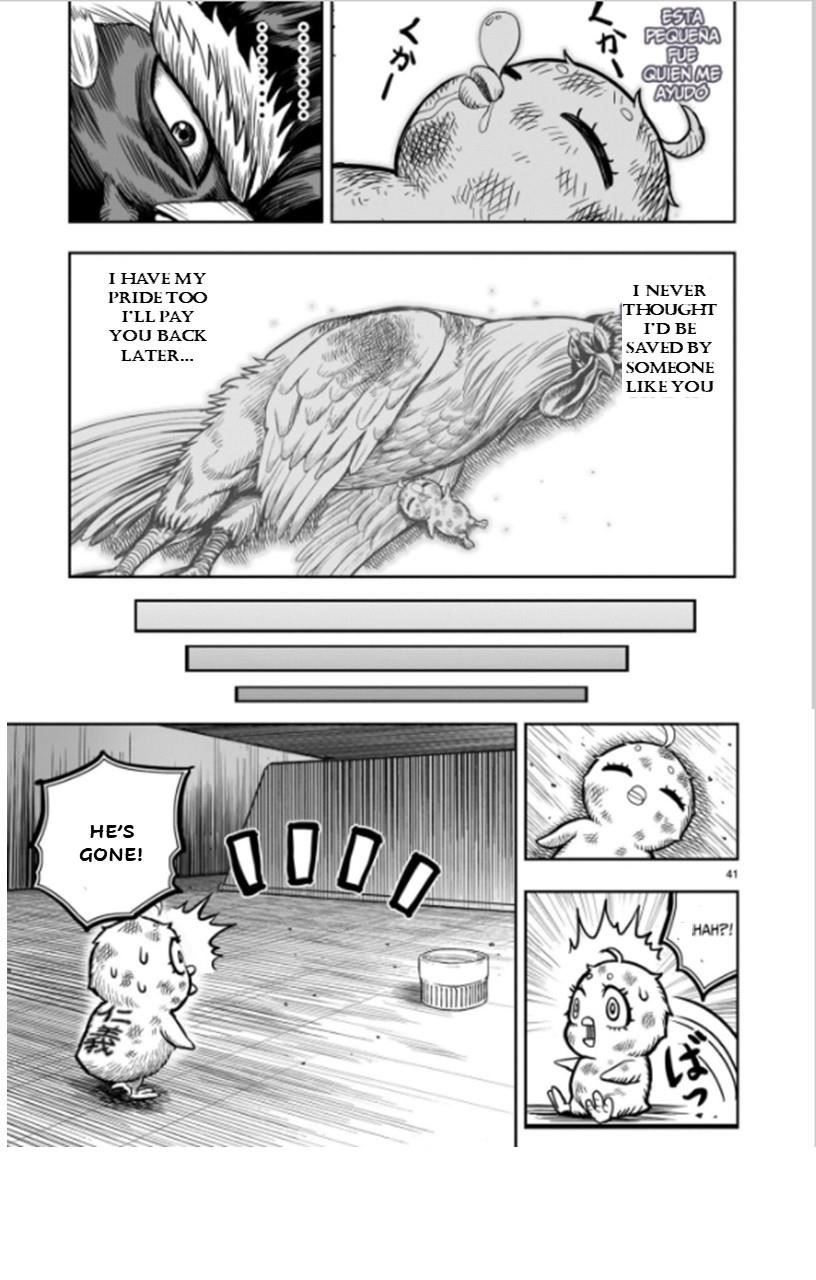 Read Rooster Fighter EN Manga Online