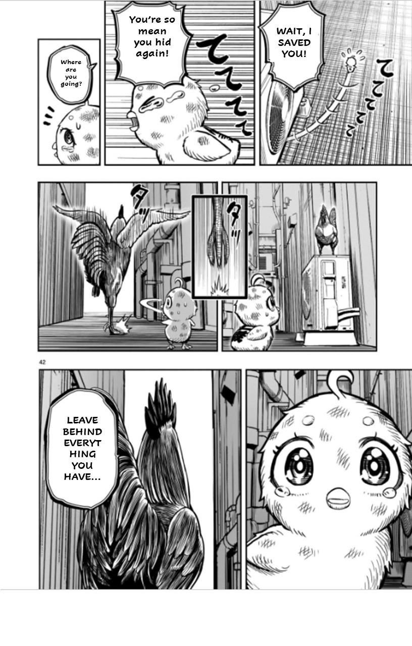 Read Rooster Fighter EN Manga Online