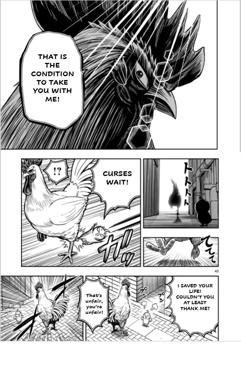 Read Rooster Fighter EN Manga Online