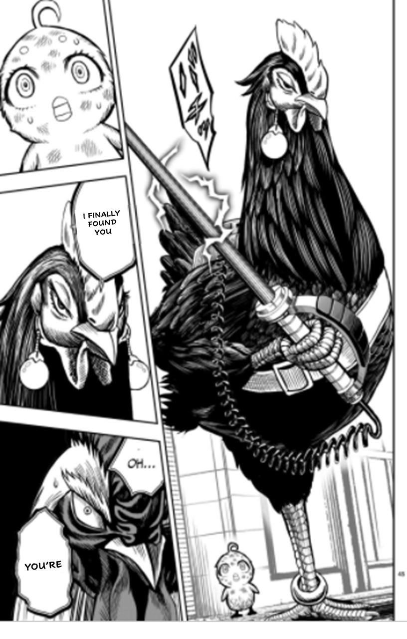 Read Rooster Fighter EN Manga Online
