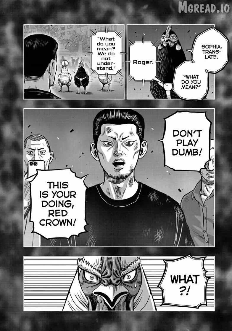 Read Rooster Fighter EN Manga Online
