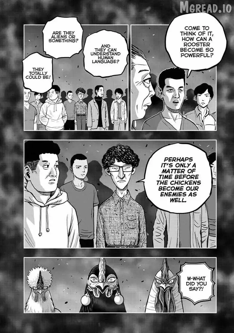 Read Rooster Fighter EN Manga Online