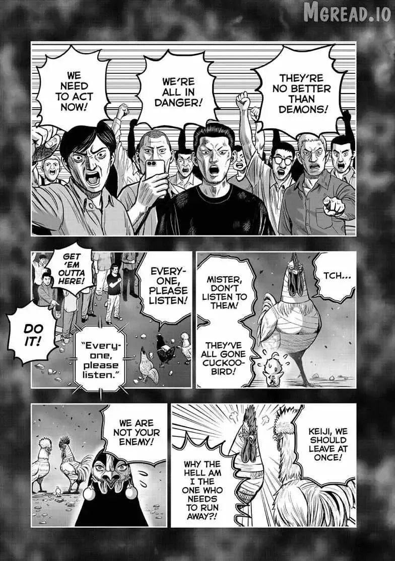 Read Rooster Fighter EN Manga Online