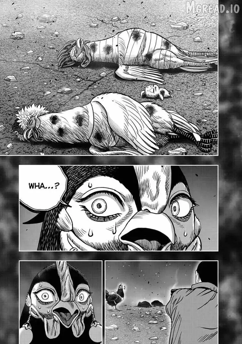Read Rooster Fighter EN Manga Online