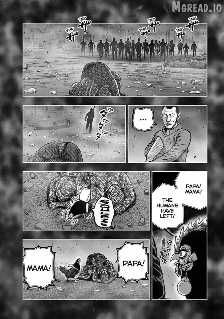 Read Rooster Fighter EN Manga Online