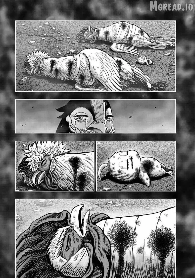 Read Rooster Fighter EN Manga Online