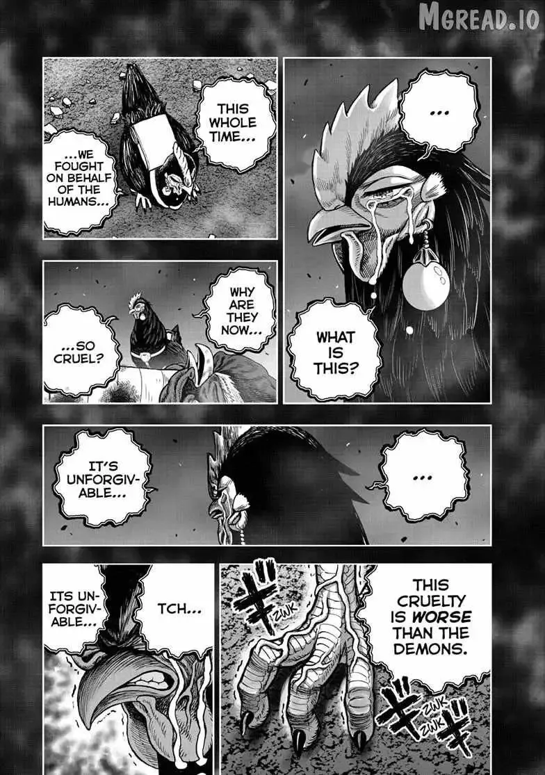 Read Rooster Fighter EN Manga Online