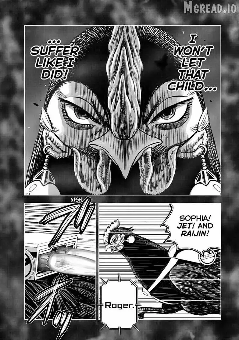 Read Rooster Fighter EN Manga Online