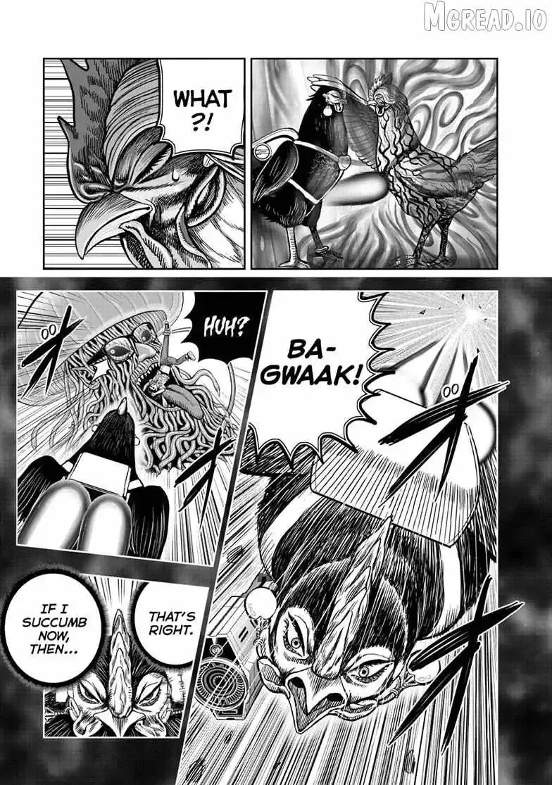 Read Rooster Fighter EN Manga Online