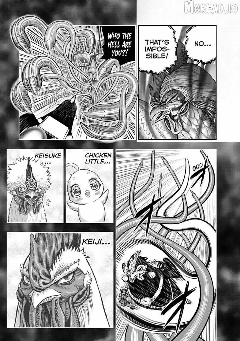 Read Rooster Fighter EN Manga Online