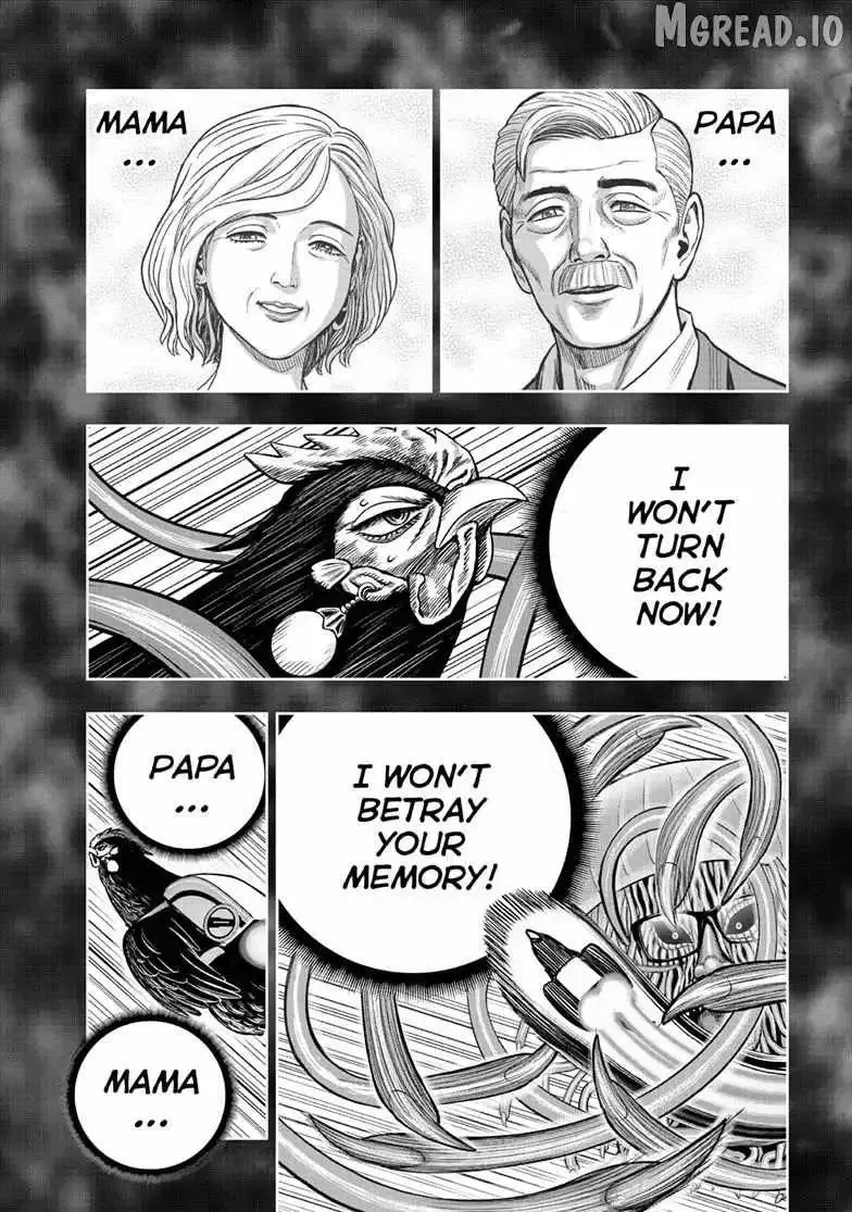 Read Rooster Fighter EN Manga Online