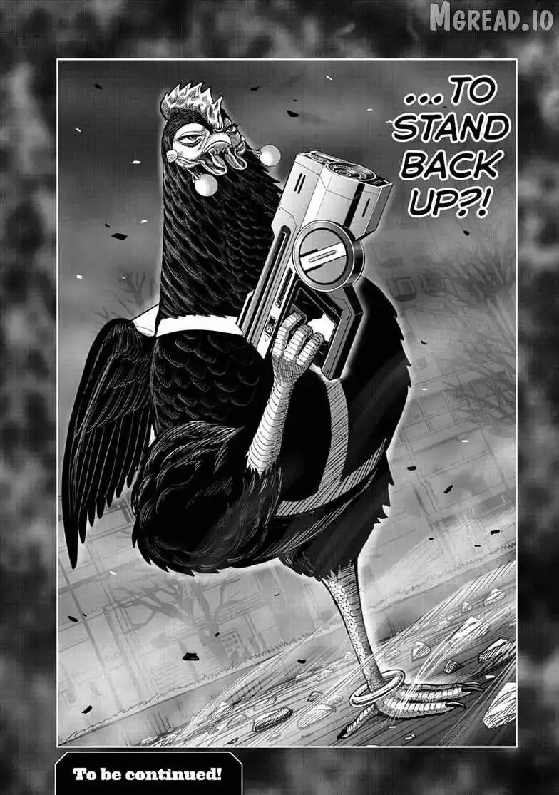 Read Rooster Fighter EN Manga Online