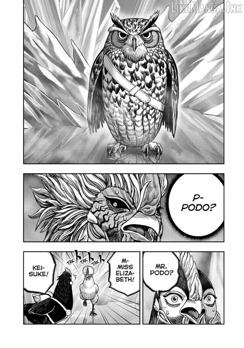 Read Rooster Fighter EN Manga Online