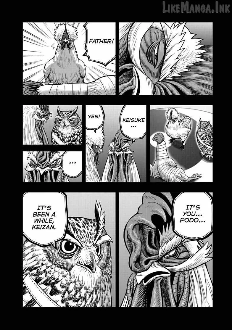 Read Rooster Fighter EN Manga Online