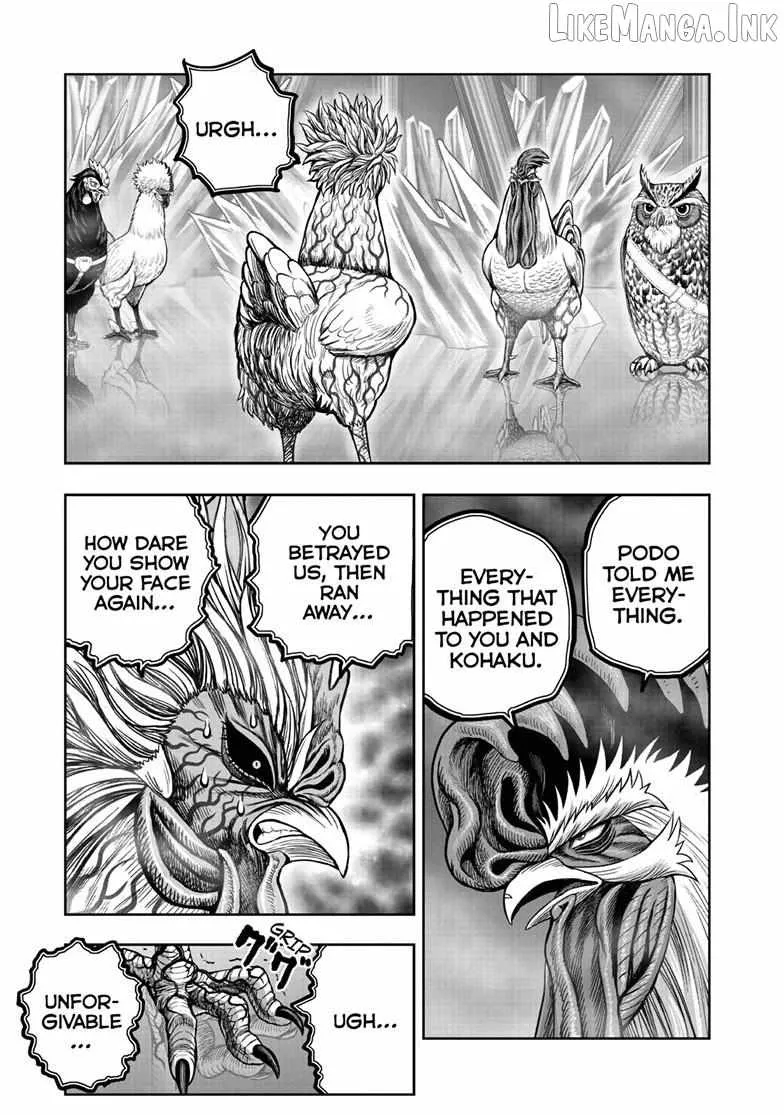 Read Rooster Fighter EN Manga Online