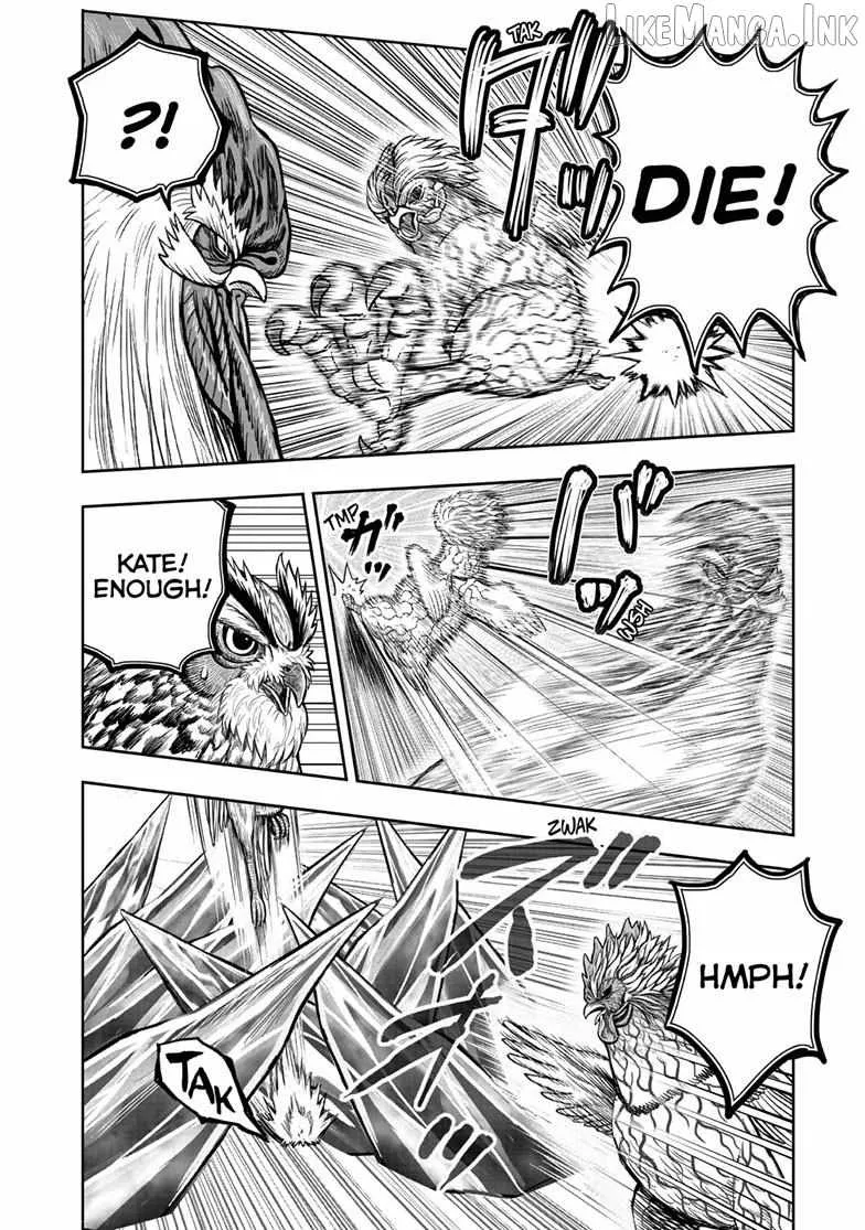 Read Rooster Fighter EN Manga Online