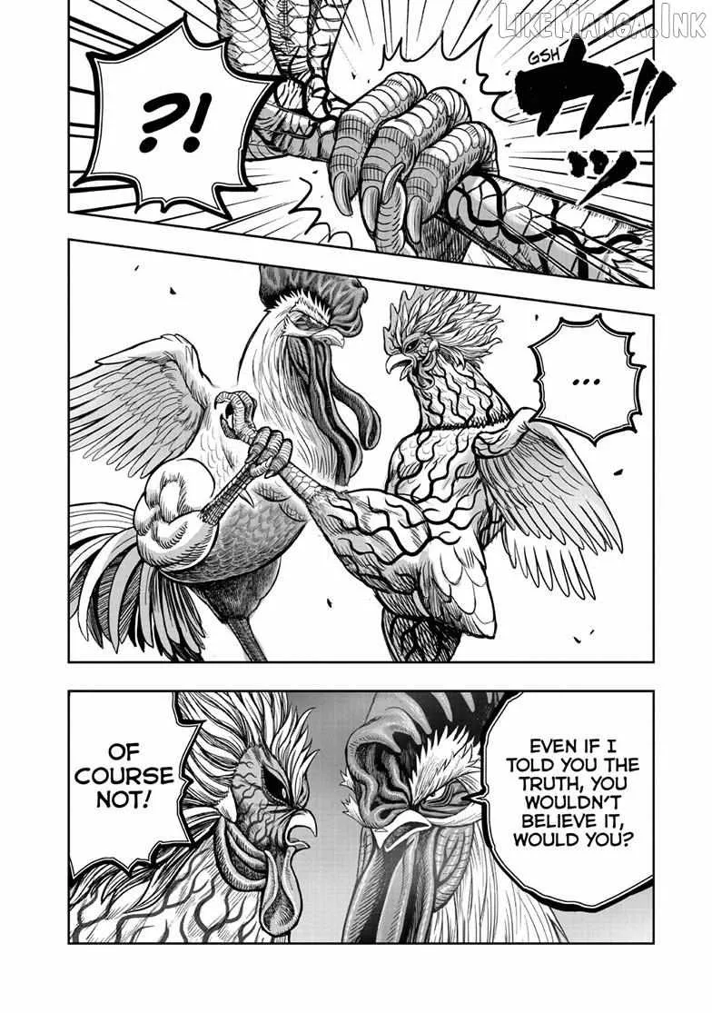 Read Rooster Fighter EN Manga Online