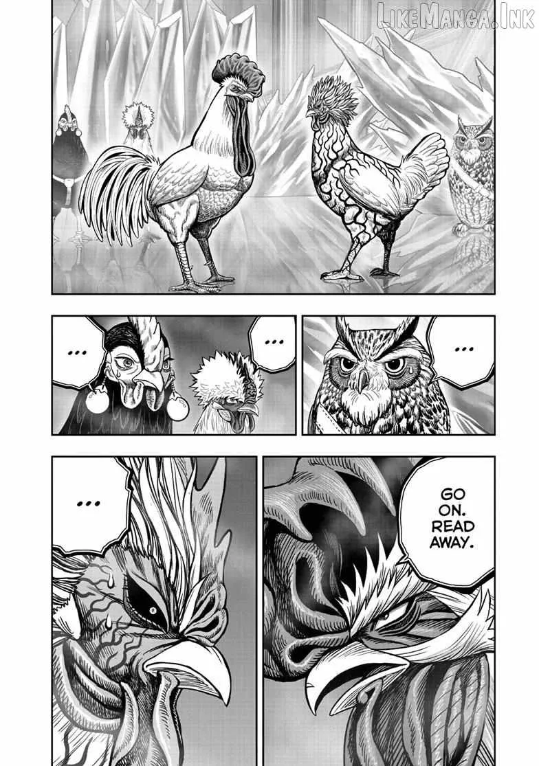 Read Rooster Fighter EN Manga Online