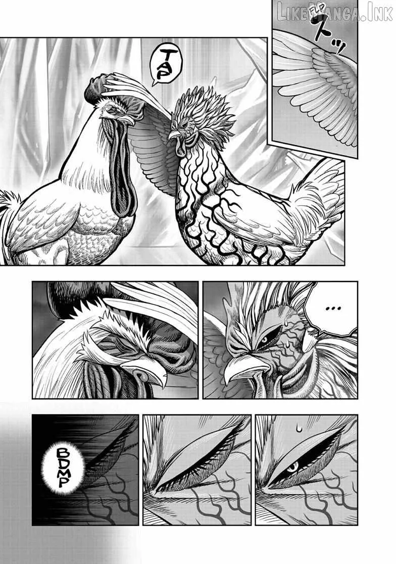 Read Rooster Fighter EN Manga Online