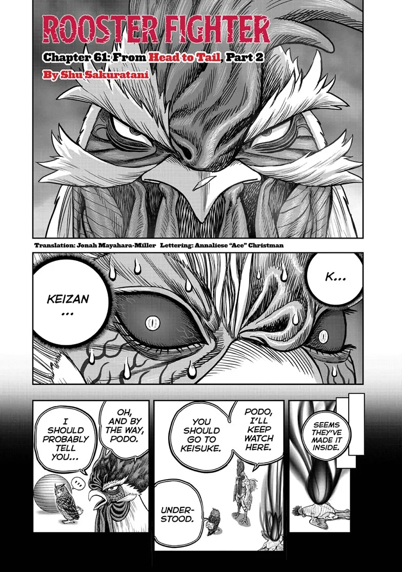 Read Rooster Fighter EN Manga Online