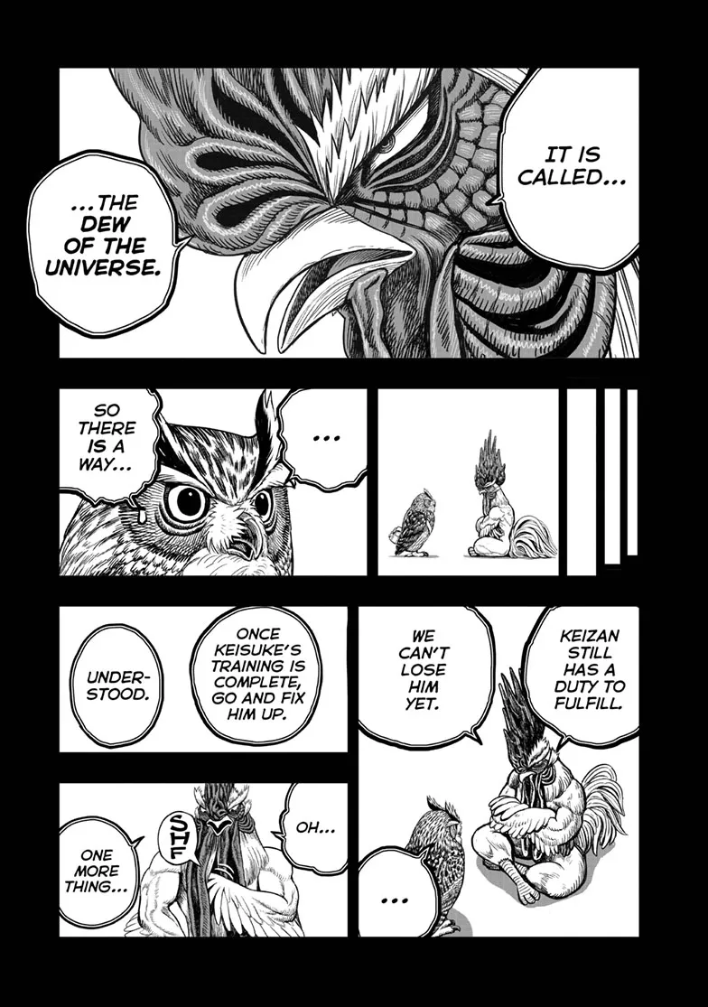 Read Rooster Fighter EN Manga Online