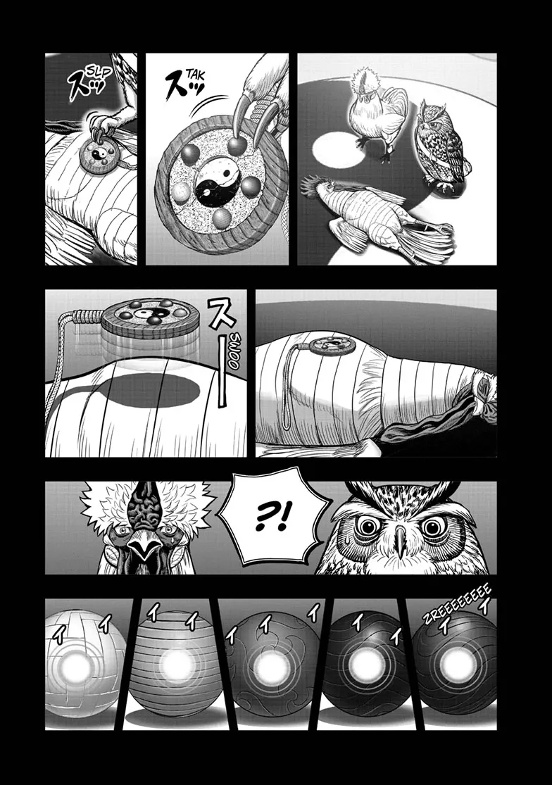 Read Rooster Fighter EN Manga Online