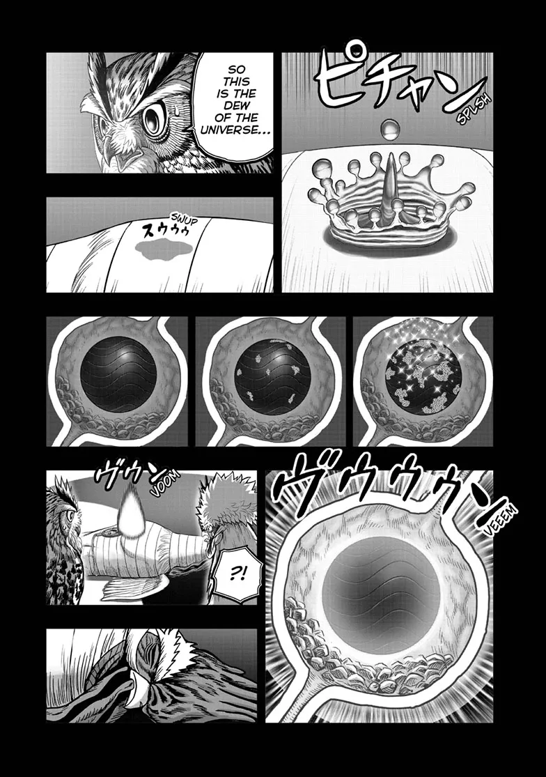 Read Rooster Fighter EN Manga Online